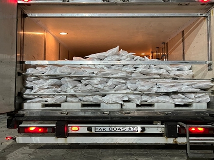 صادرات بیش از 60 تن انواع محصولات آبزی در 7 ماهه سالجاری از فردیس